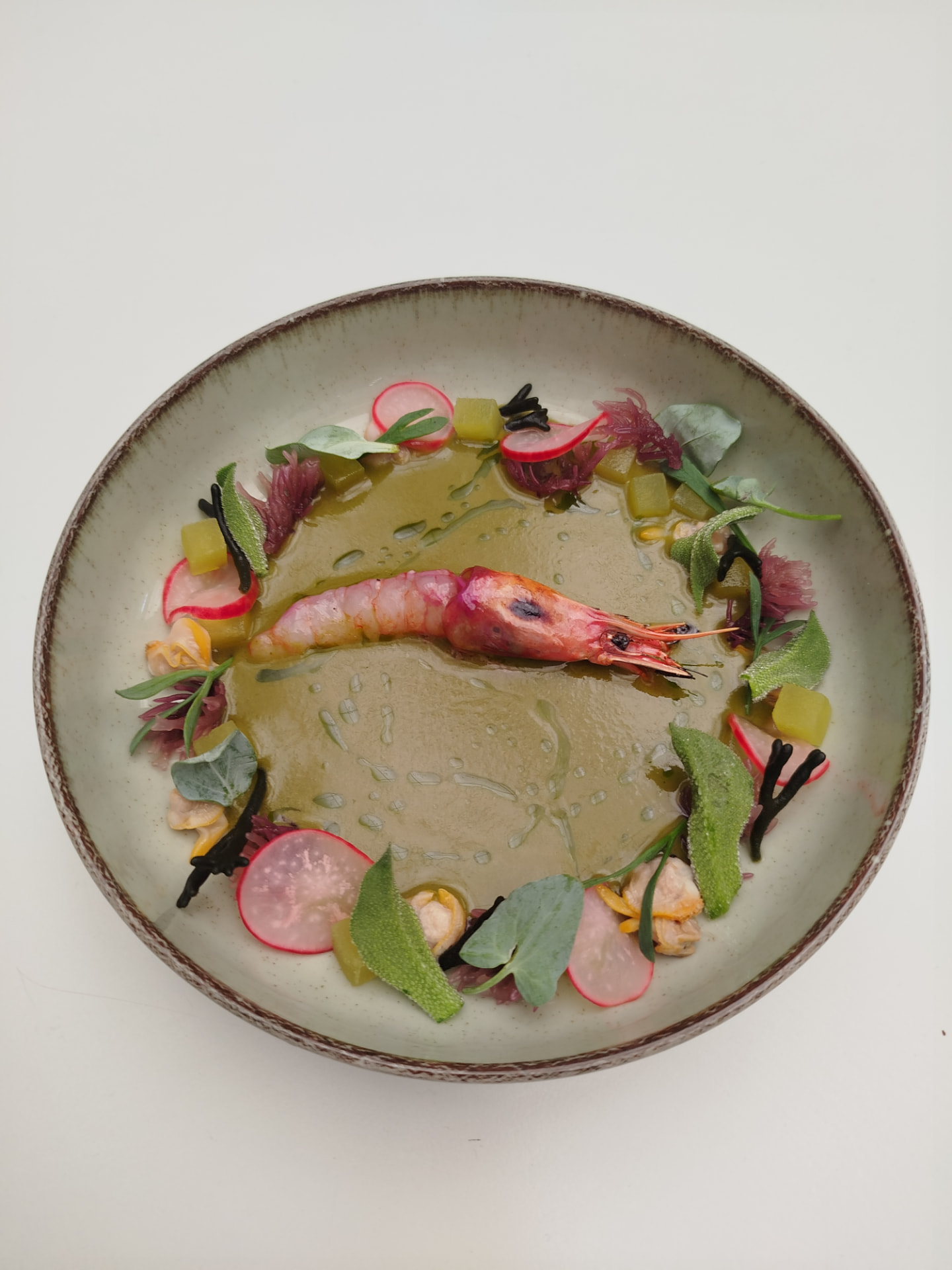 Red prawn with clams, radish and seaweed in a green broth