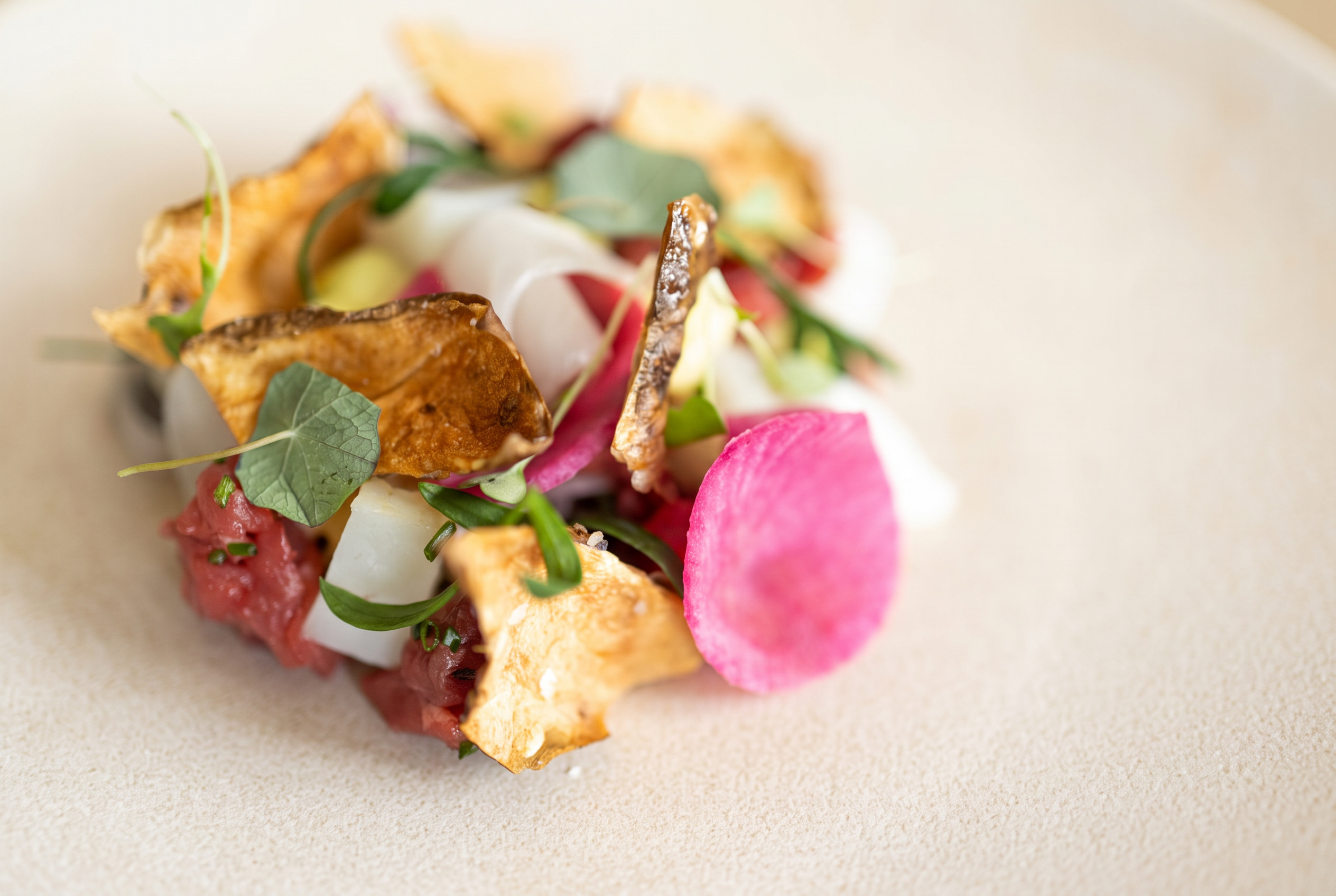 Tartare with pickled radish, crisps and nasturtium leaves